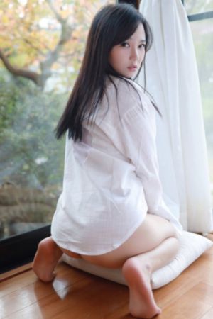 胜女的代价2 电视剧